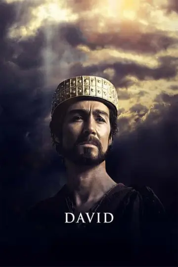 Plakat do filmu "David" #948628