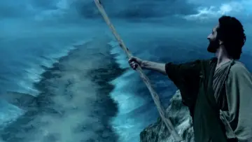 Moses plakat