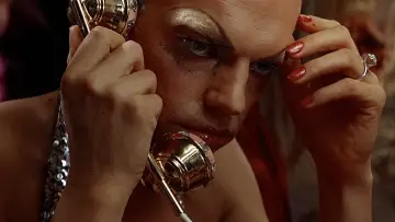 Zasłona do filmu "Priscilla, królowa pustyni" #1629304