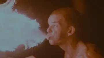 Zasłona do filmu "Kochankowie na moście" #1058859