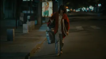Zasłona do filmu "Kochankowie na moście" #1757267
