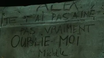 Zasłona do filmu "Kochankowie na moście" #1757271