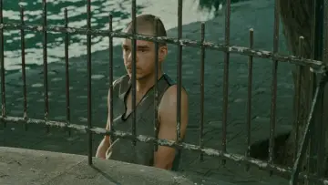 Zasłona do filmu "Kochankowie na moście" #1757288