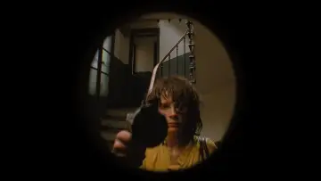 Zasłona do filmu "Kochankowie na moście" #534089