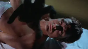 Zasłona do filmu "Diabolik" #981188