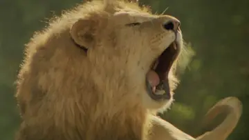 Zasłona do filmu "Roar" #432240