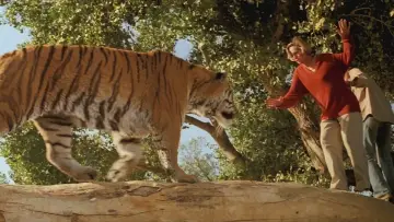 Zasłona do filmu "Roar" #432241