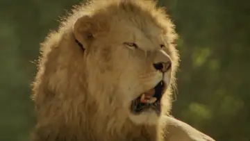 Zasłona do filmu "Roar" #432243