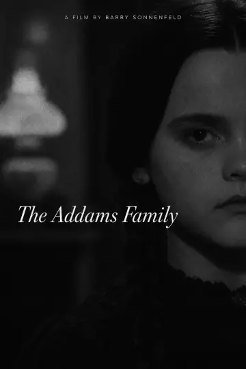 Plakat do filmu "Rodzina Addamsów" #1827222