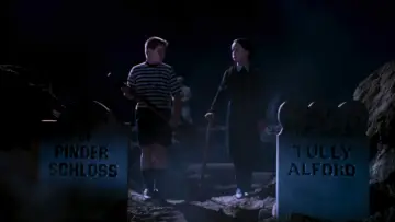Zasłona do filmu "Rodzina Addamsów" #1861309