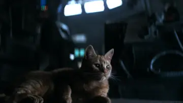 Zasłona do filmu "Obcy: 8 pasażer Nostromo" #1653884