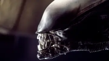Zasłona do filmu "Obcy: 8 pasażer Nostromo" #177112