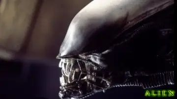 Zasłona do filmu "Obcy: 8 pasażer Nostromo" #177130