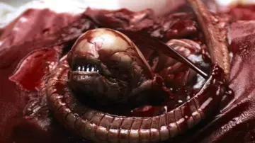 Zasłona do filmu "Obcy: 8 pasażer Nostromo" #548827