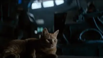 Zasłona do filmu "Obcy: 8 pasażer Nostromo" #548882
