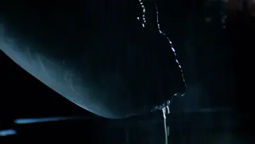Zasłona do filmu "Obcy: 8 pasażer Nostromo" #549007