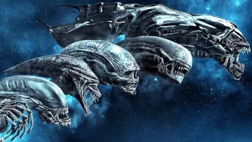 Zasłona do filmu "Obcy: 8 pasażer Nostromo" #549021