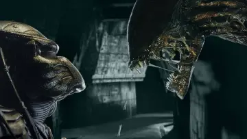 Zasłona do filmu "Obcy kontra Predator" #324971