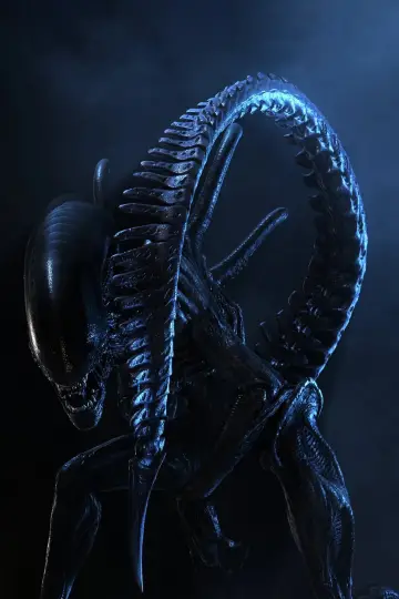 Plakat do filmu "Obcy kontra Predator" #324988