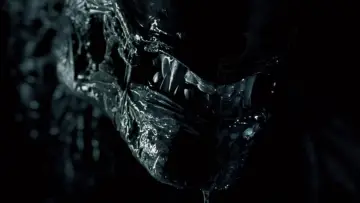 Zasłona do filmu "Obcy kontra Predator" #650980