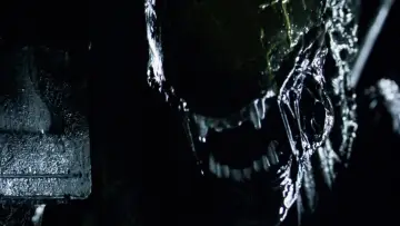 Zasłona do filmu "Obcy kontra Predator" #650987