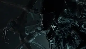 Zasłona do filmu "Obcy kontra Predator" #650989