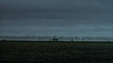 Zasłona do filmu "Capote" #992704