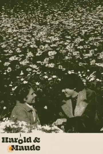 Plakat do filmu "Harold i Maude" #206214