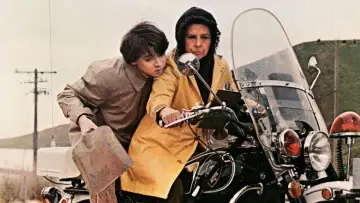 Zasłona do filmu "Harold i Maude" #985888