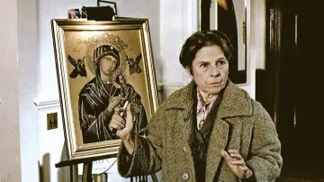 Zasłona do filmu "Harold i Maude" #985905