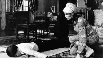 Zasłona do filmu "Harold i Maude" #985914