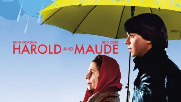 Zasłona do filmu "Harold i Maude" #985916