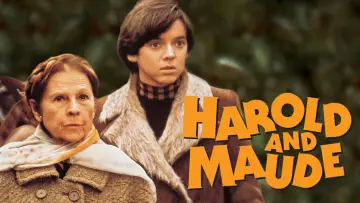 Zasłona do filmu "Harold i Maude" #985917