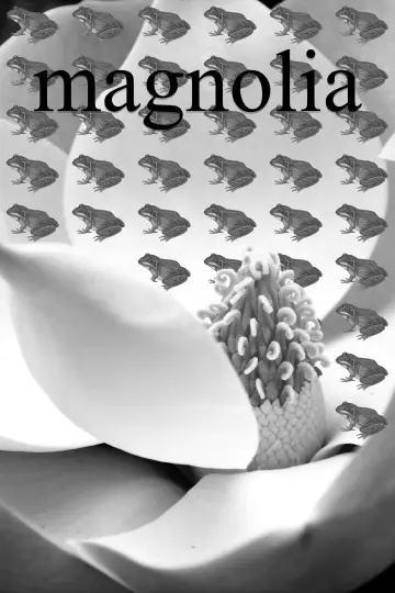 Plakat do filmu "Magnolia" #1532831