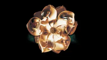 Zasłona do filmu "Magnolia" #670075