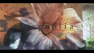 Zasłona do filmu "Magnolia" #804527