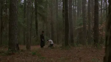 Zasłona do filmu "Ścieżka Strachu" #938071
