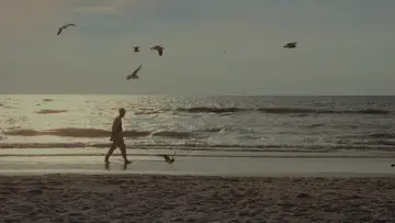 Zasłona do filmu "Dawno temu w Ameryce" #749339