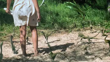 Zasłona do filmu "Park Jurajski: Zaginiony Świat" #631615