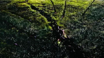 Zasłona do filmu "Park Jurajski: Zaginiony Świat" #998251
