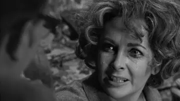 Zasłona do filmu "Kto się boi Virginii Woolf?" #189020