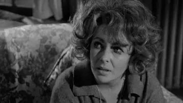 Zasłona do filmu "Kto się boi Virginii Woolf?" #755110