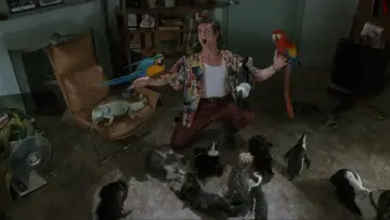 Zasłona do filmu "Ace Ventura: Psi detektyw" #1198754