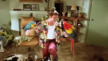 Zasłona do filmu "Ace Ventura: Psi detektyw" #1724586