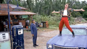 Zasłona do filmu "Ace Ventura: Psi detektyw" #280003