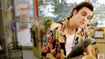 Zasłona do filmu "Ace Ventura: Psi detektyw" #280004
