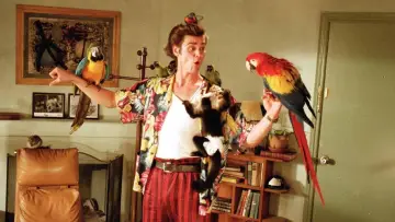 Zasłona do filmu "Ace Ventura: Psi detektyw" #280012