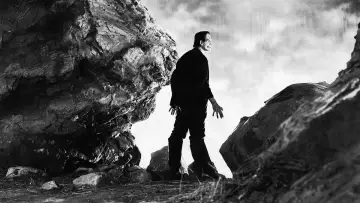 Zasłona do filmu "Frankenstein" #212436
