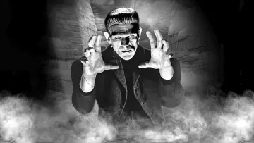 Zasłona do filmu "Frankenstein" #212438