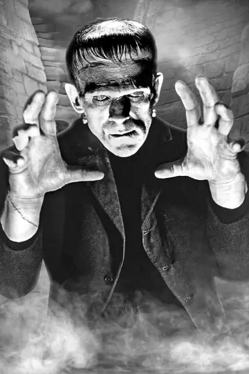 Plakat do filmu "Frankenstein" #212447